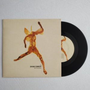 The Divine Comedy / Bad Ambassador & / Life On Earth (Live)